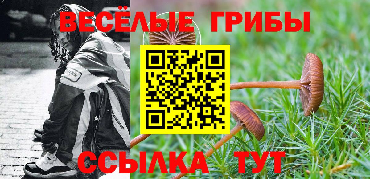 Галлюциногенные грибы MAGIC MUSHROOMS  Псилоцибиновые грибы прущие грибы  Вход с VPN  Янаул 